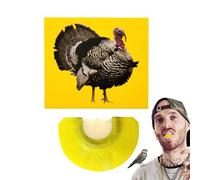 Bird Whistles Noise Makers | Bright Colors Bird Sound Whistle | Creative Fun Unique Noise Makers for Birthday April Fool's Day Celebrations