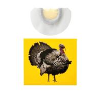 Bird Whistles Noise Makers Creative Noise Maker Toys, Noise Makers