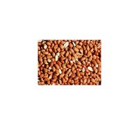 Bird Whole Peanuts - Quality Fresh Feed for Wild Birds Garden 10kg
