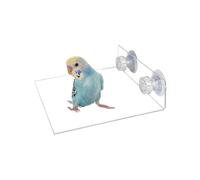 Bird Window/Bath/Car/Travel Perch Acrylic Platform with Suction Cup for Small and Medium Bird Parrot Parakeet Cockatiel Conure Budgie Lovebirds (B)