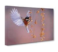 Bird with Spread Wings Canvas Print | Gallery Wrapped 30mm Frame Wall Art | 30x20 inches | Ready to Hang | Modern Animals Picture | Living Room Bedroom Lounge Office