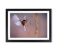 Bird with Spread Wings Framed Print | A2 Oak Framed Wall Art | Ready to Hang | Modern Nature Picture | Living Room Bedroom Lounge Office