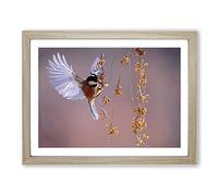 Bird with Spread Wings Modern Framed Print | A2 Oak Framed Wall Art | Ready to Hang | Modern Nature Picture | Living Room Bedroom Lounge Office