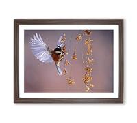 Bird with Spread Wings Modern Framed Print | A4 Walnut Framed Wall Art | Ready to Hang | Modern Nature Picture | Living Room Bedroom Lounge Office