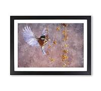 Bird with Spread Wings Painting Framed Print | A2 Black Framed Wall Art | Ready to Hang | Modern Historical Picture | Living Room Bedroom Lounge Office