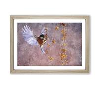 Bird with Spread Wings Painting Framed Print | A2 Oak Framed Wall Art | Ready to Hang | Modern Historical Picture | Living Room Bedroom Lounge Office