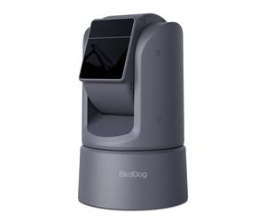 BirdDog O4 4K60 Outdoor PTZ Camera (Grey)
