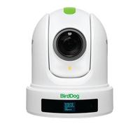 BirdDog P110 NDI PTZ Camera (White)