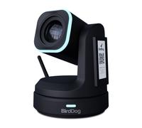 BirdDog X1 30x HD PTZ Camera (Black)