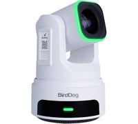BirdDog X4E Ultra PTZ Camera with AI Tracking (White)