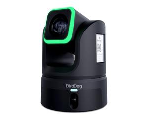 BirdDog XL Ultra 4K60 PTZ Camera (Black)