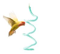 BIRDES' PUNCH PEAR, BIRDES COVER CLOTHING,Flexible Parrot Climbing Rope - Reusable Colorful Chewing Toya Macaw Stand Cotton Ladder