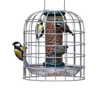 Birdfeeder Guardian Jacobi Jayne - Squirrel-Proof Bird Feeders UK - Hanging Bird Feeder Protection for Bird Feeders for Small Birds Only - Small, Silver