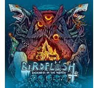 Birdflesh - Sickness In The North [VINYL]