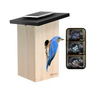 Birdfy Ebony Lite Smart Bird House with Camera