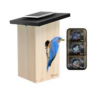 Birdfy Ebony Lite Smart Bird House with Camera