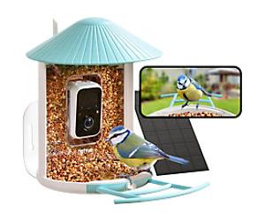 Birdfy Smart AI Bird Feeder & Bird Watch Camera Solar Powered