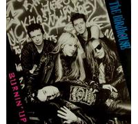 BIRDHOUSE , THE - Burnin' Up