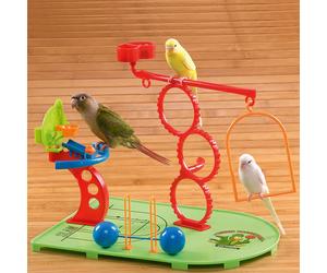 Birdie Basketball Gym - Activity Centre for Smaller Parrots Budgies Lovebirds