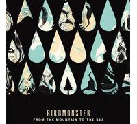 Birdmonster - From the Mountain to the [Vinyl LP] [VINYL]