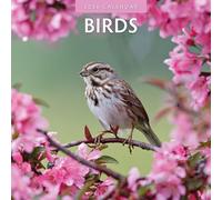 Birds - 2026 Square Wall Calendar - by Red Robin Publishing