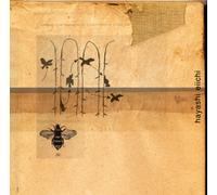 Birds And Bees