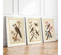 Birds and Botanicals Botanical Set of 3 Framed Wall Art Prints A2