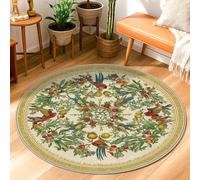 Birds Area Rug, Vintage Botanical Flowers Branches Spring Green Low Pile Edge Binding Doormat Throw Rug Circle Bathroom Doorway Entryway Bedside Decor 3' X 3'