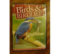 Birds & Birdlife - Kingfisher
