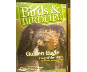 Birds & Birdlife, Volume 3 - Golden Eagle King of the Skies