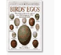 Birds' Eggs (Eyewitness Handbooks)