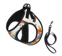 Birds Flowers Butterfly Print Dog Harness with Leash Set with Thickened Padded Vest for Extra-Small/Small Medium Dogs