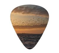 birds fly south Patterned Guitar Picks - 12-Piece Set with 3 Different Thicknesses, Suitable for Electric and Acoustic Guitars
