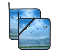 Birds Flying Away Over Sky Large Pot Holders Oven Mitts Set Heat Resistant Pot Holders Square Pot Holder Hot Pads8 In