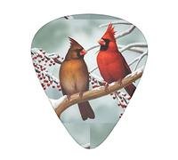 Birds Guitar Picks - Guitar Accessories - Guitar Picks For Acoustic Guitar, Electric Guitar, Bass Guitar For Men Women Professional Guitarist, Musicians And Beginner.