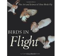 Birds in Flight: The Art and Science of How Birds Fly