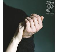 Birds In Row - We Already Lost The World [CASSETTE]