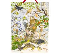Birds in Winter Christmas Advent Calendar with Sound | Bird Sounds Advent Calendar with 24 Bird Songs | Birdsong Advent Calendar