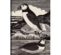 Birds Journal: by Eric Fitch Daglish (Illustrator)