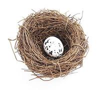 Birds Nest, Artificial Bird Nest Birdhouses, Garden Nature Art Craft Fake Bird's Nest Vintage Bird Cage Creative for Easter Spring Decor Optical Store Window Display (6CM)