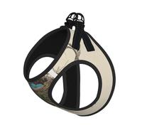 Birds Nest Compact Pet Suspender Vest-The Perfect Small Pet For A Comfortable Walk