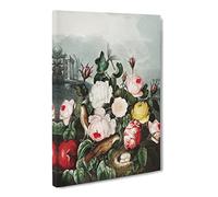 Birds Nest In The Roses By Robert John Thornton Canvas Print | Gallery Wrapped 30mm Frame Wall Art | 20x14 inches | Ready to Hang | Retro Floral Picture | Living Room Bedroom Lounge Office