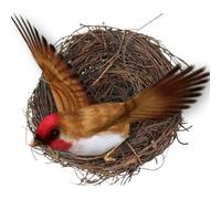 Bird's Nest - Robin Nest | Rattan Rustic Bird Nests | Handmade Woven Breeding Nest | Flat Base Flying Pets Cage Accessories for Parakeet Small Animal Bed House for Garden Decoration Accessories