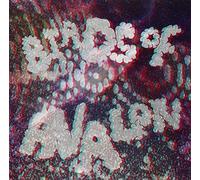 Birds of Avalon - Birds of Avalon [VINYL]