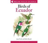 Field Guide to the Birds of Ecuador: (Helm Field Guides)