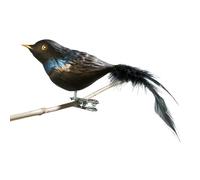 Birds of Glass® Glass Bird, Blackbird with Natural Feather, Glass Decoration Made in Germany, Own Production, Decorative Bird with Clip, Glass Bird, Real Lauscha Christmas Tree Decoration, for Indoor