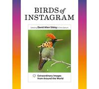 Birds of Instagram: Extraordinary Images from Around the World