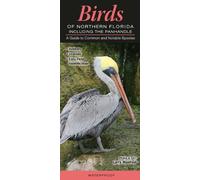 Birds of Northern Florida including the Panhandle: A Guide to Common & Notable Species