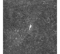 Birds of Passage - Last Garden-Clear Vinyl [Import] [VINYL]