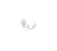 Birds Of Passage - Without The World [VINYL]